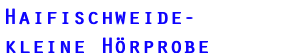 Meystersinger; Infos; Luci van Org; Lucilectric; Roman Leitner- Shamov